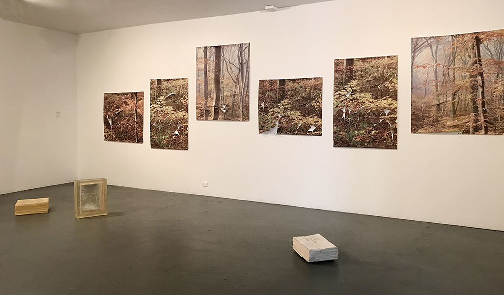 installation-view