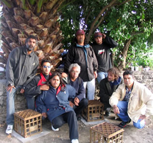 Aunty Alma's seat, Julie Shiels (2005)