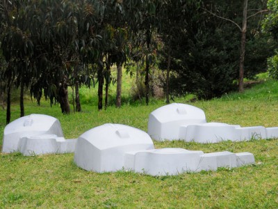 Colony 1, Julie Shiels (2011)