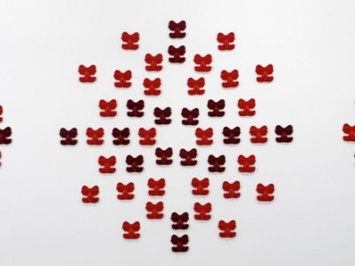 Flock, Julie Shiels (2008)