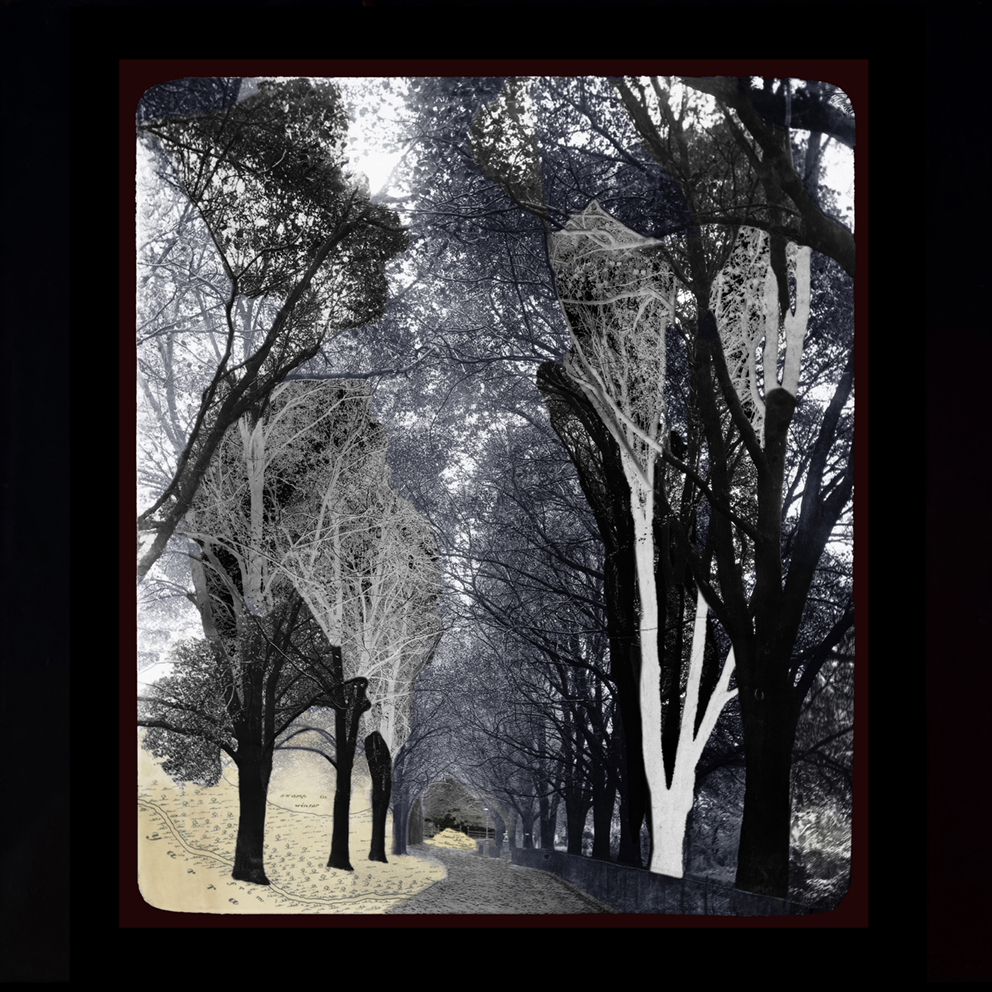 26 rv fitzroy Garden -new map 72jpg copy