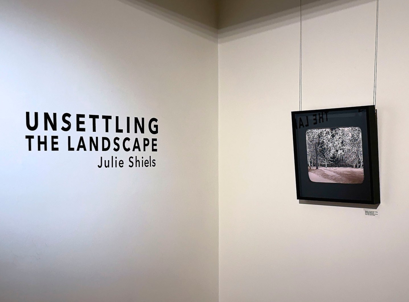 unsettling +signage copy 2