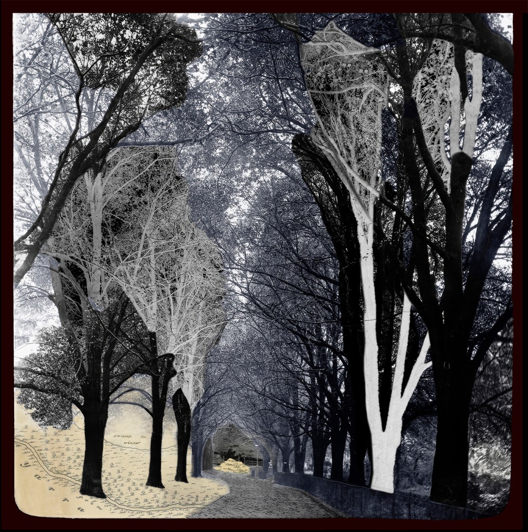 26 fitzroy garden 1400